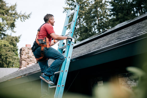 Best Roof Leak Repair  in Onsted, MI